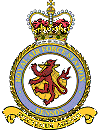 RAF Benson Badge